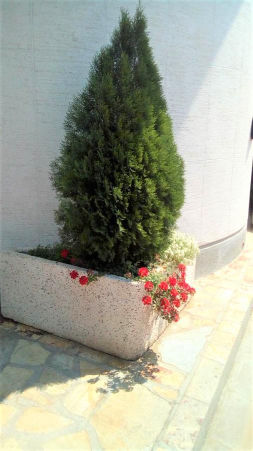 קראלג'בו Hotel Tehnograd מראה חיצוני תמונה